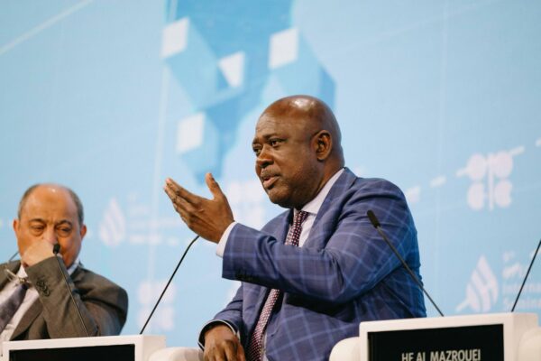 OPEC Seminar: Africa’s Energy Sector Needs Increase Investment —-Lokpobiri. By Chris Mark